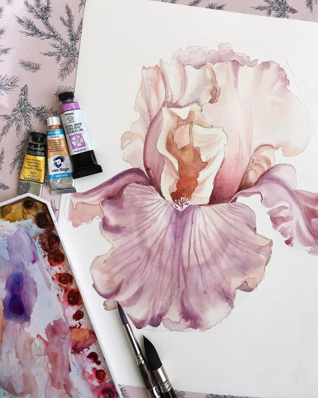 Ботаническая иллюстрация. Ирис акварелью - Саламат_0.jpg